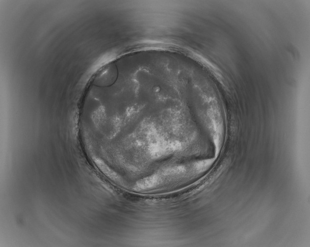 X0000111171411200907221018