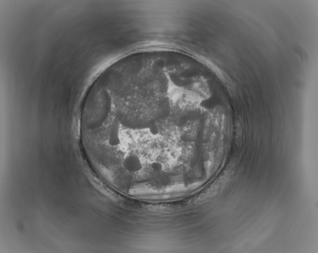 X0000111171413200907221018