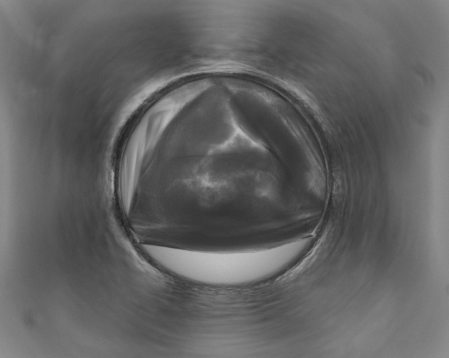 X0000111171414200907221018