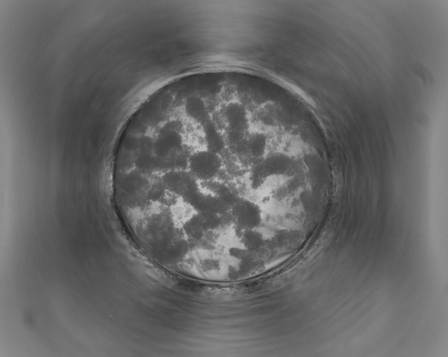 X0000111171415200907221018