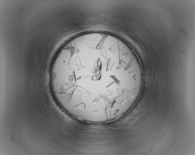 X0000111171416200907221018