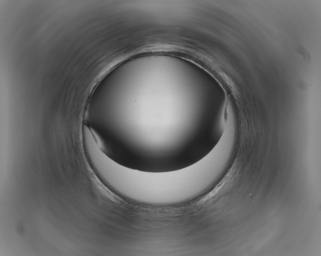 X0000111171417200907221018