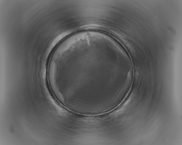 X0000111171418200907221018