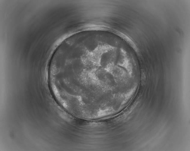 X0000111171419200907221018