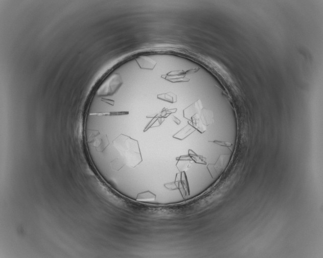 X0000111171420200907221018