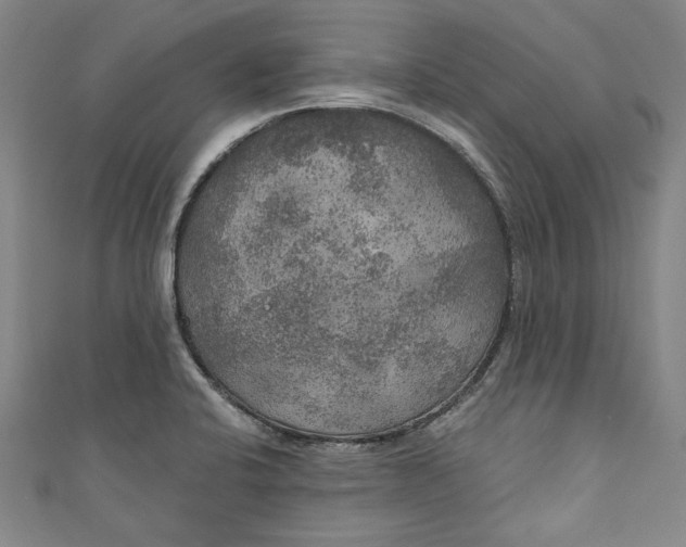 X0000111171424200907221018