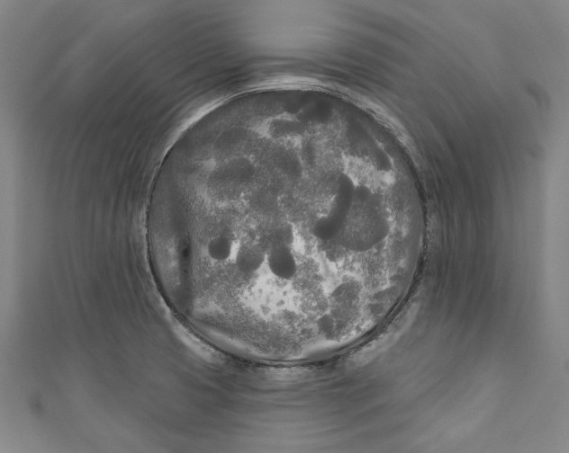 X0000111171425200907221018