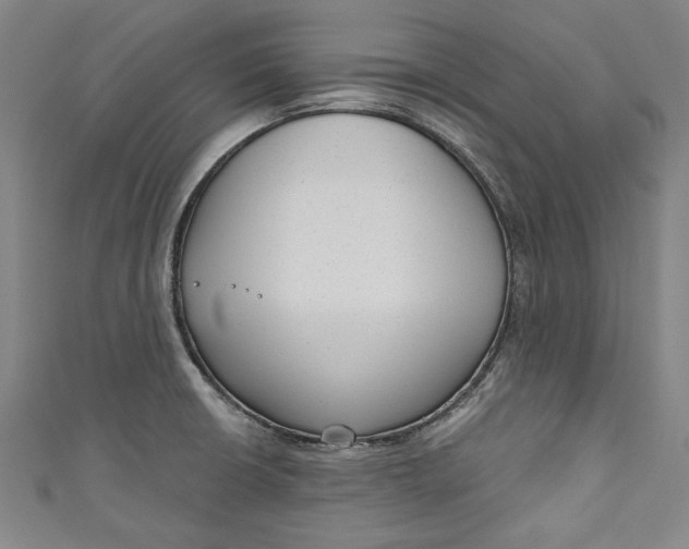 X0000111171426200907221018