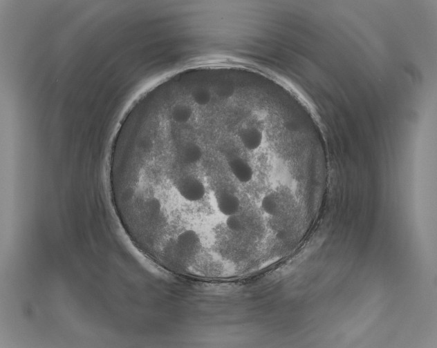 X0000111171429200907221018