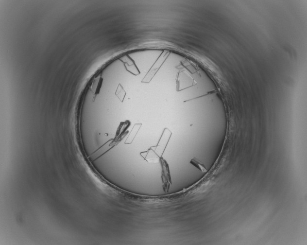 X0000111171430200907221018