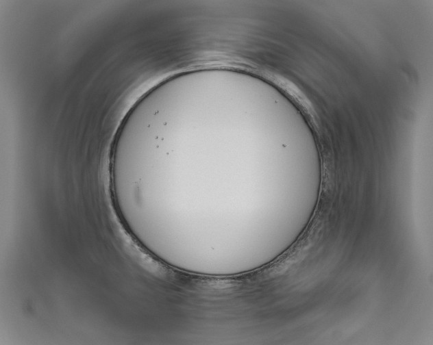 X0000111171431200907221018