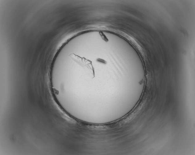 X0000111171432200907221018