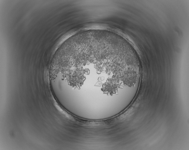 X0000111171433200907221018