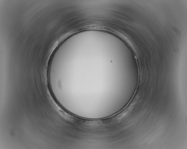 X0000111171434200907221018