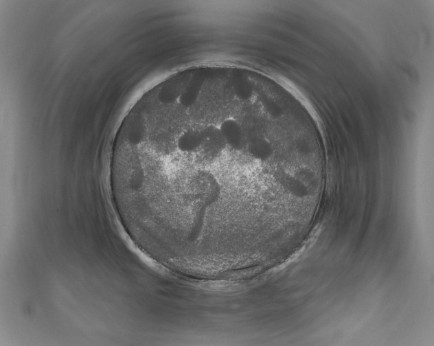 X0000111171437200907221019