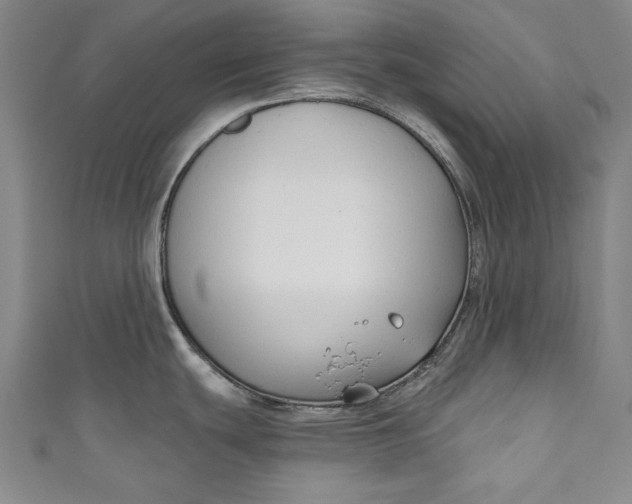 X0000111171439200907221019