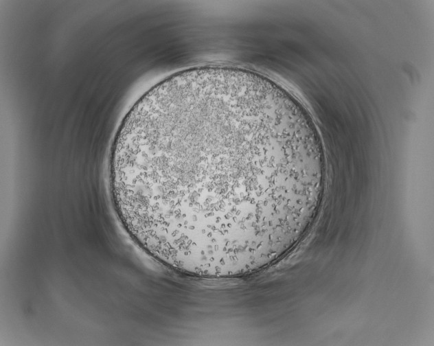 X0000111171440200907221019