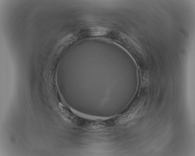 X0000111171441200907221018