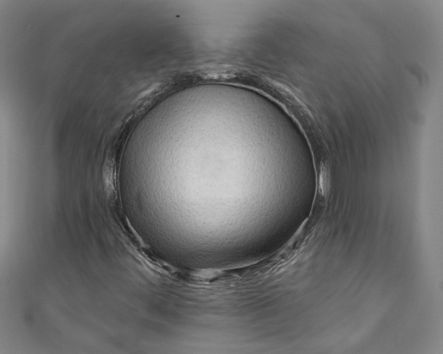 X0000111171444200907221018