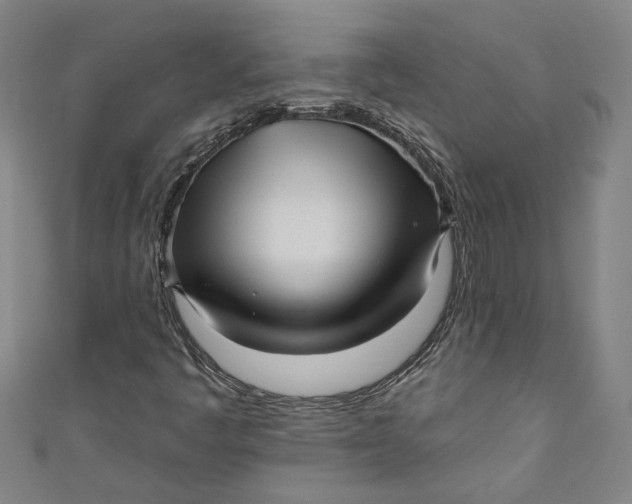 X0000111171445200907221018