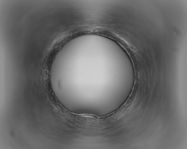 X0000111171447200907221018