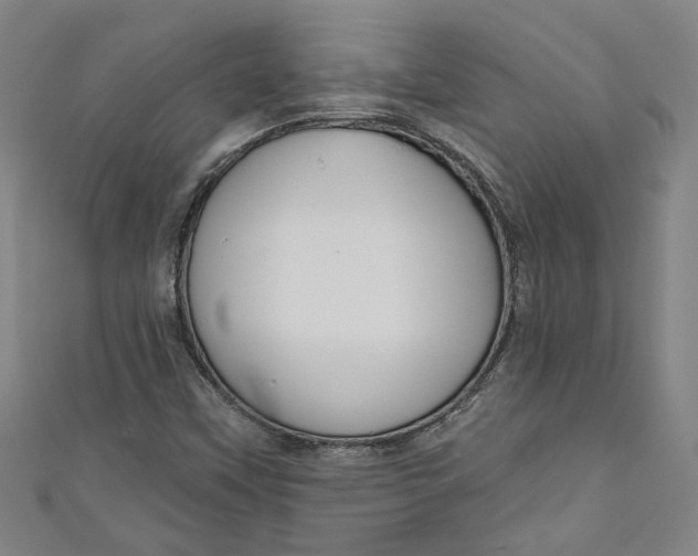 X0000111171451200907221018