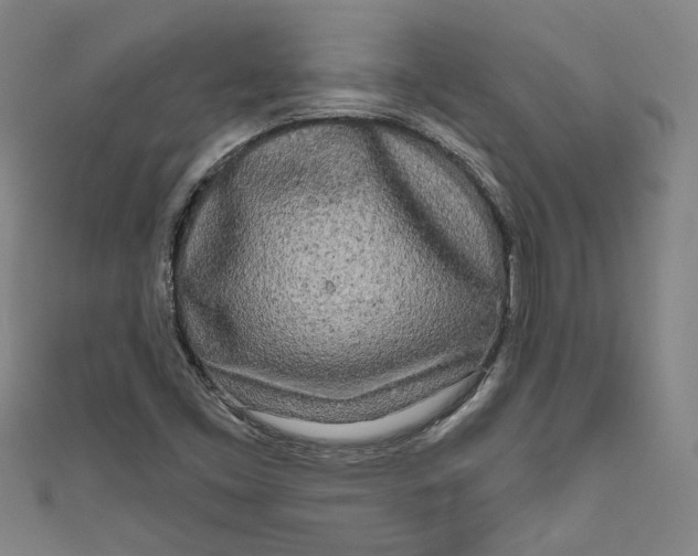 X0000111171453200907221018