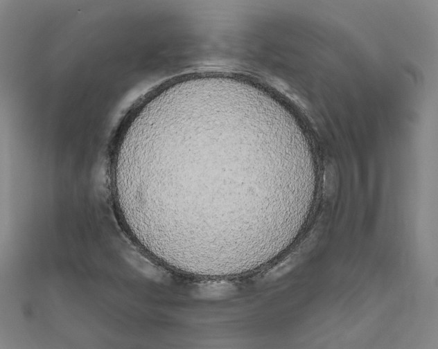 X0000111171454200907221018