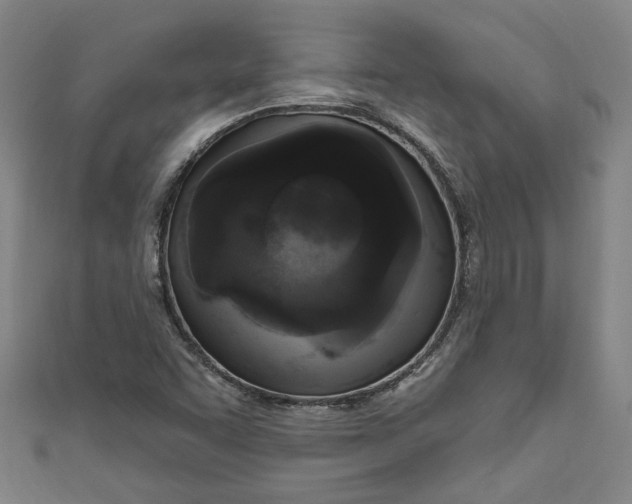 X0000111171455200907221018