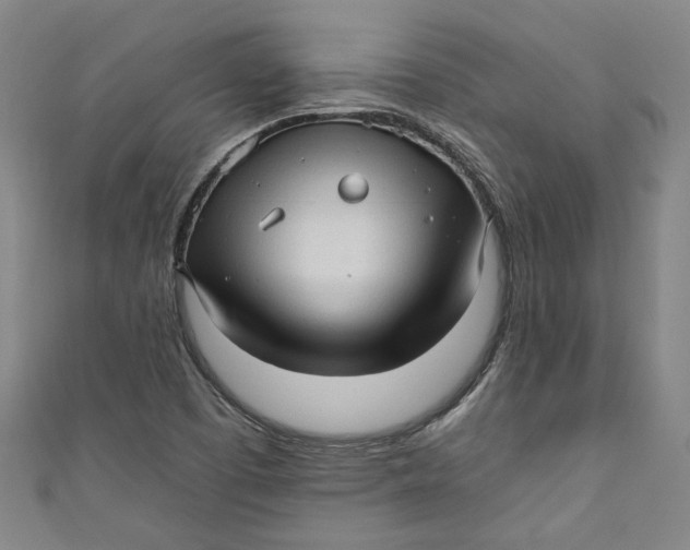 X0000111171457200907221018