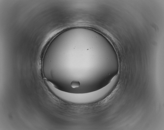 X0000111171461200907221018