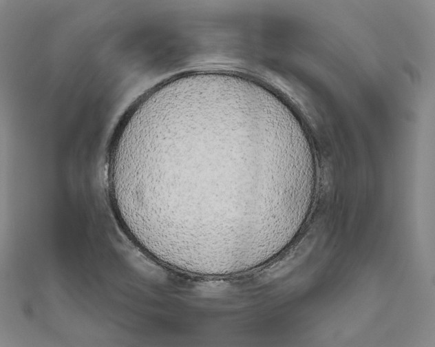 X0000111171462200907221018