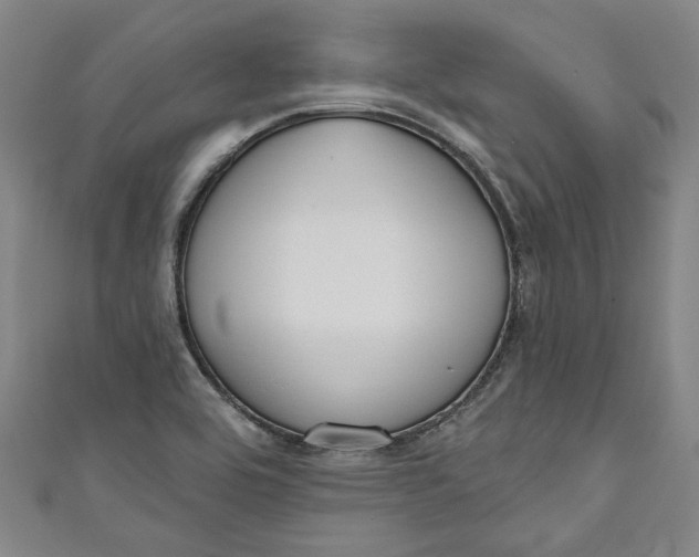 X0000111171464200907221018