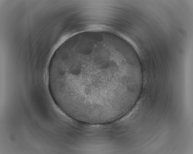 X0000111171467200907221018