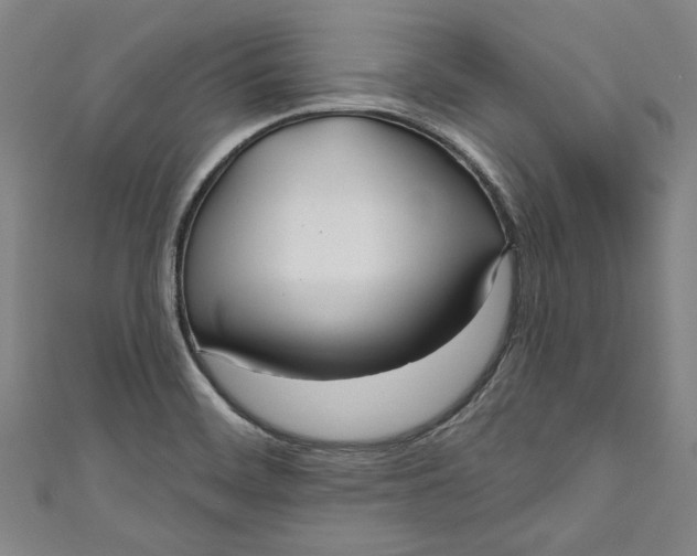 X0000111171468200907221018