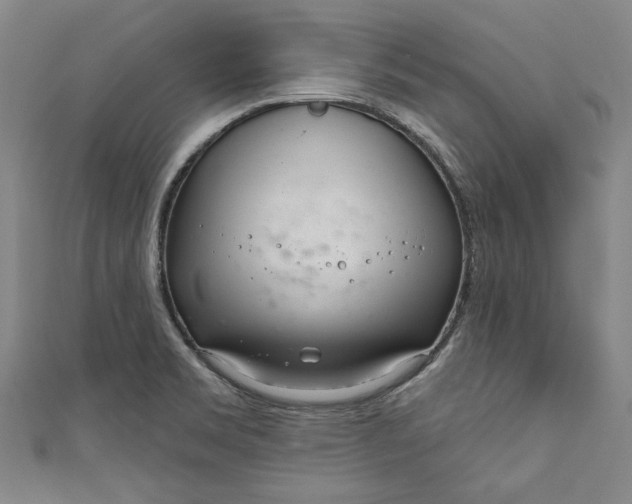 X0000111171469200907221018