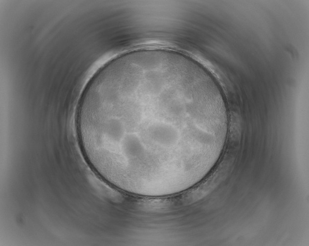 X0000111171474200907221018