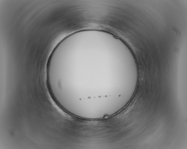 X0000111171479200907221017