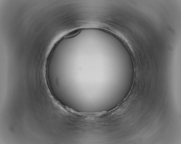 X0000111171480200907221017