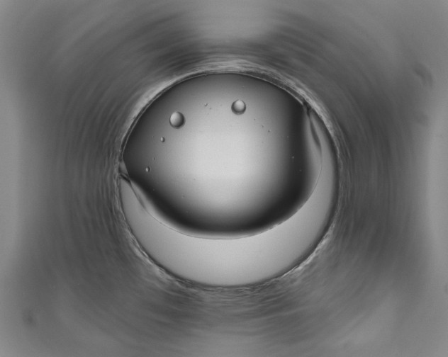 X0000111171481200907221017