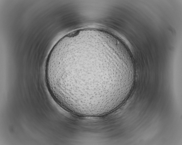 X0000111171483200907221017