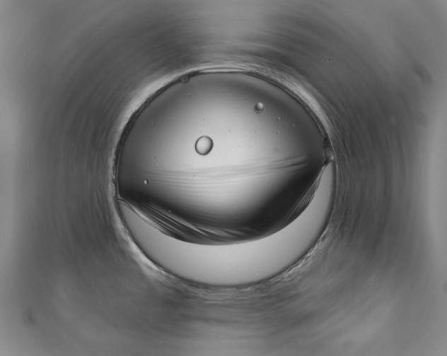 X0000111171485200907221017