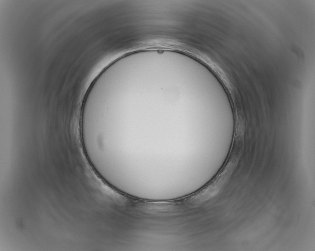 X0000111171486200907221017