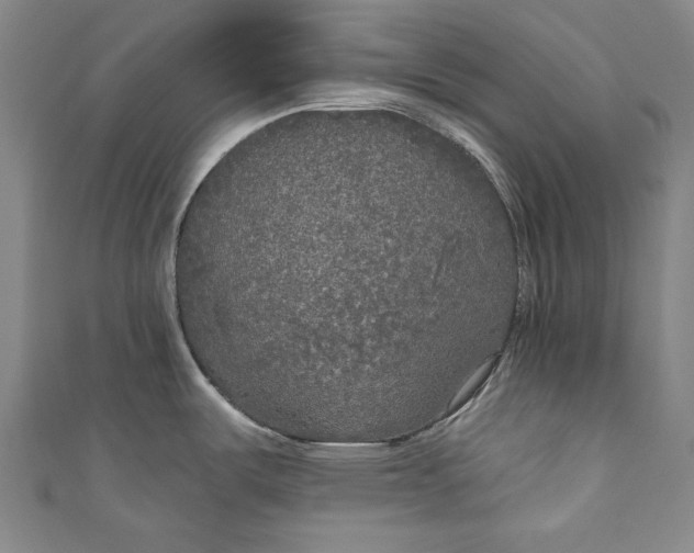 X0000111171487200907221017