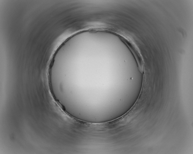 X0000111171488200907221017