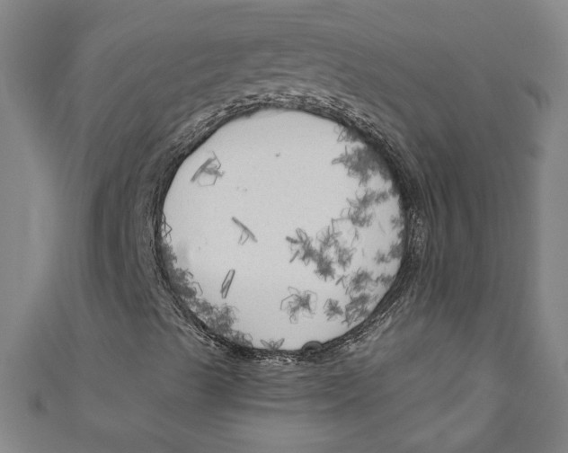 X0000111171489200907221017