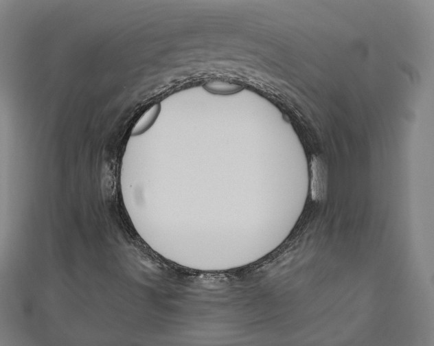 X0000111171491200907221017