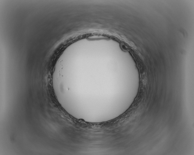 X0000111171495200907221017