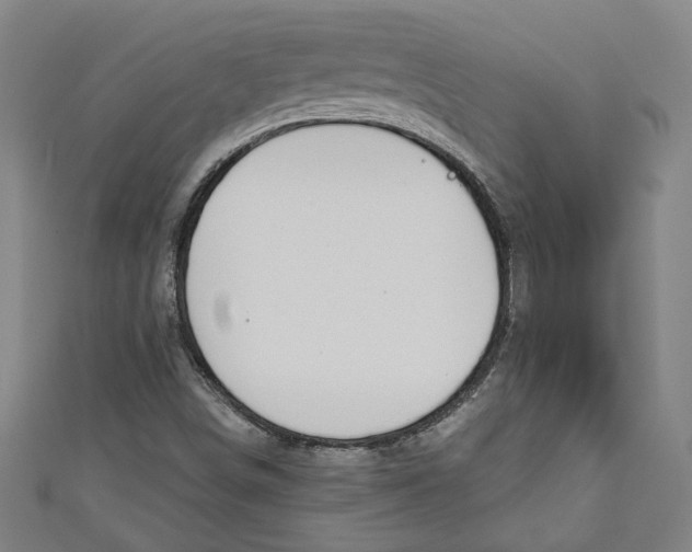 X0000111171498200907221017