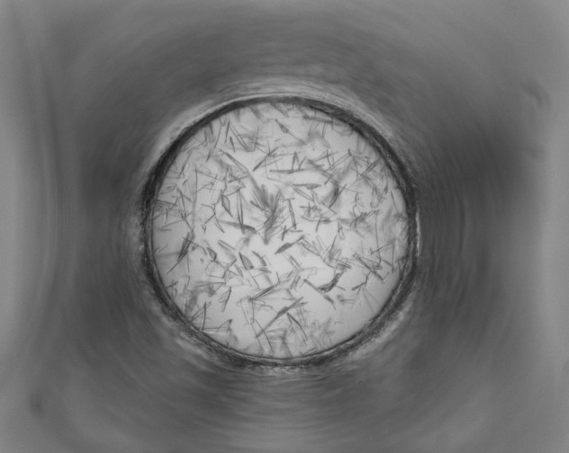 X0000111171501200907221017